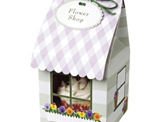 Caixa de cupcake em forma de casinhas 2